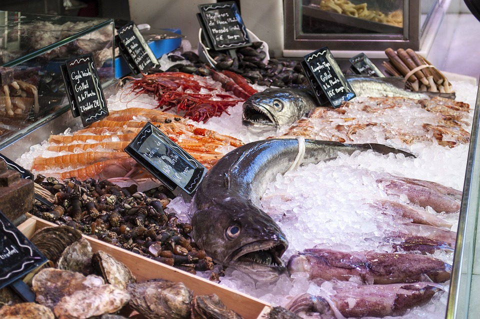 Gdzie kupić ryby do zjedzenia oraz które ryby są najsmaczniejsze?