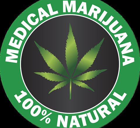 Punkt sprzedaży kolekcjonerski PanPestka.pl: szeroka propozycja sprzedażowa nasion