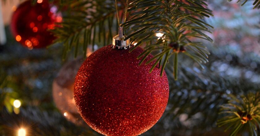 Wybór naturalnej choinki – o jakich sprawach trzeba pamiętać