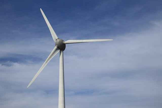 Najlepsze ekologiczne suplementy na zdrowie – realne efekty i certyfikaty