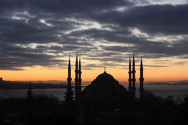 Jak zgłosić szkodę z polisy komunikacyjnej online – uniknij błędów